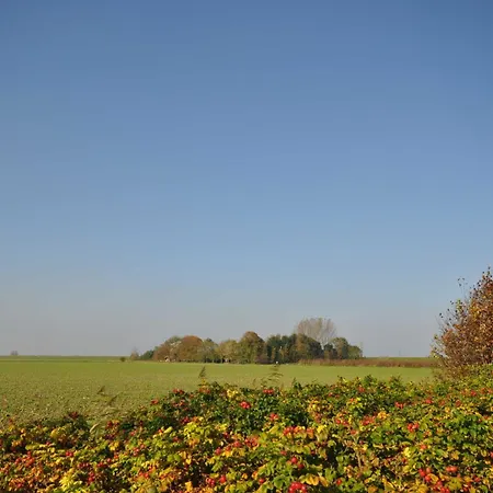Nr 46 - Muehlenblick Naehe Museumshafen *